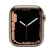 Watch Series 7 Steel Cellular (45mm), Gold, Black Sport Band